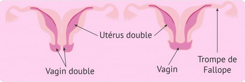 Marc Gozlan tweet media