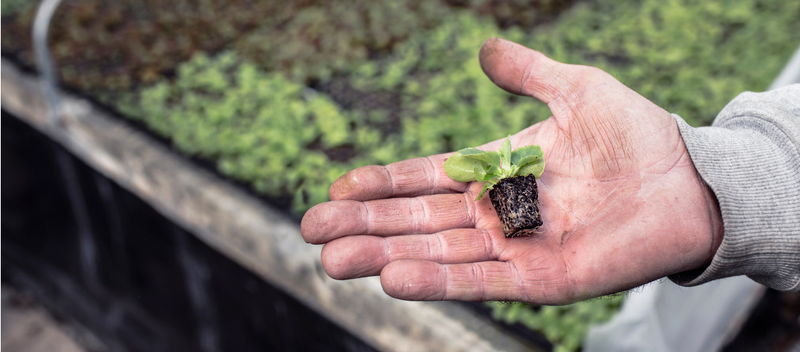 IT_SALES_LEADS's tweet image. We don't only nurture Leads, but as well as prospects and people that are connected to their field.
merchantcircle.com/blogs/it-sales…

#itprospects #itleads