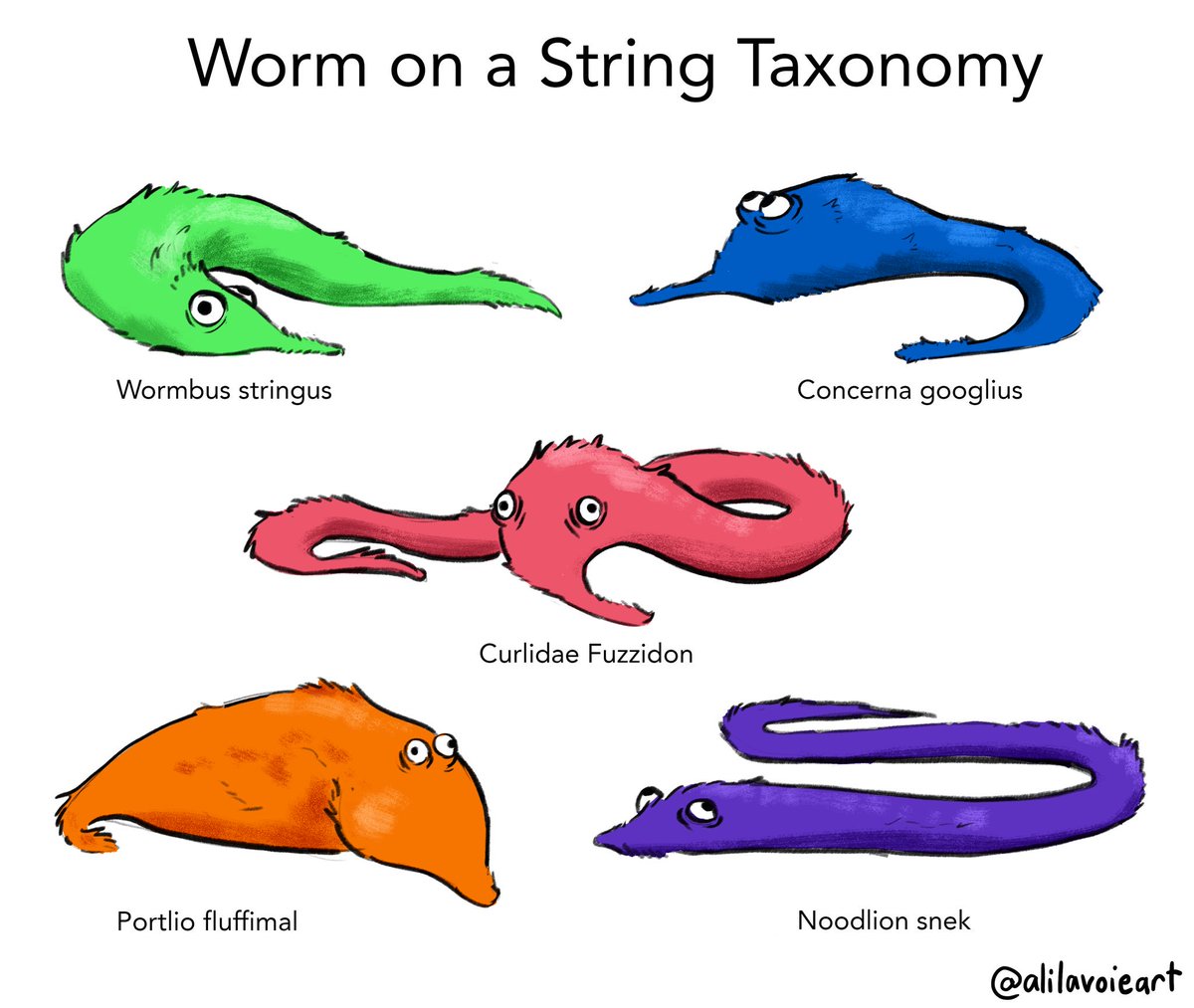 Worm on a String Taxonomy (very important). pic.twitter.com/tCXaciGtbl. 