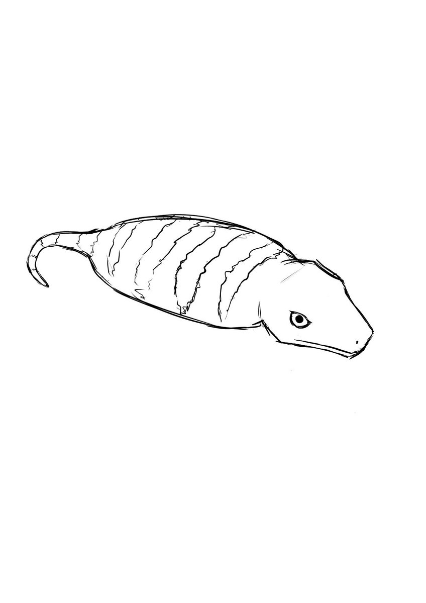 monochrome greyscale no humans simple background white background animal focus fish  illustration images