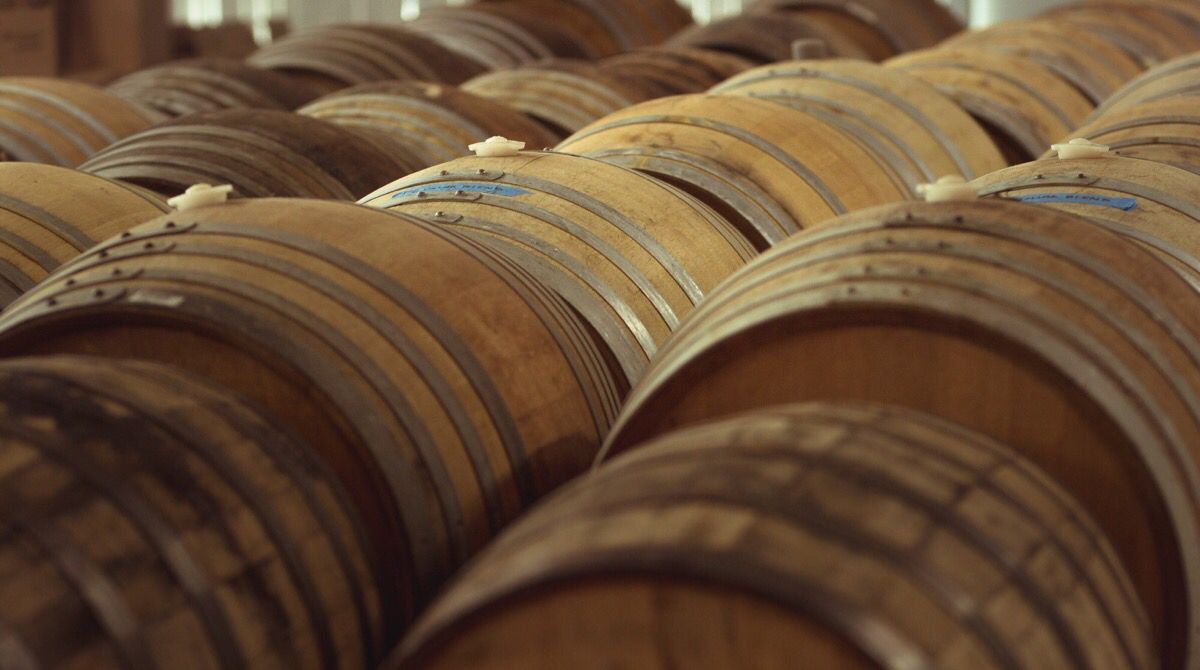 Casa_Agria's tweet photo. *** Trivia is canceled tonight due to construction in our barrel room. However, the main tasting room will still be OPEN! 🍺 🍺🍺

Thank you all for your patience and understanding 🙏
#venturacounty #oxnard #openduringconstruction #🔨 #casaagria https://t.co/49RbKA5Y4W