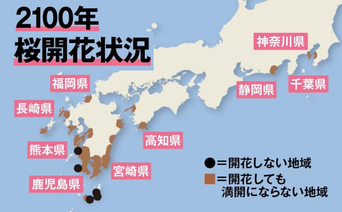 ウェザーニュース V Tvittere 気候変動と桜の開花 平成の31年間の桜開花日を見てみると 早まっていることが判明 このまま 地球温暖化が進むと開花日が変動するだけでなく 桜が開花しない地域が出てくるというシミュレーション結果もあるようです T