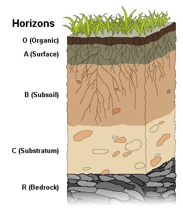 Let’s go deeper here is simple model of soil in horizons. A parent material of rock is weathered into subsoil w no life. Life forms an organic layer which mixes to make topsoil. Agriculture might make a weird tilled and compacted layer. 2/