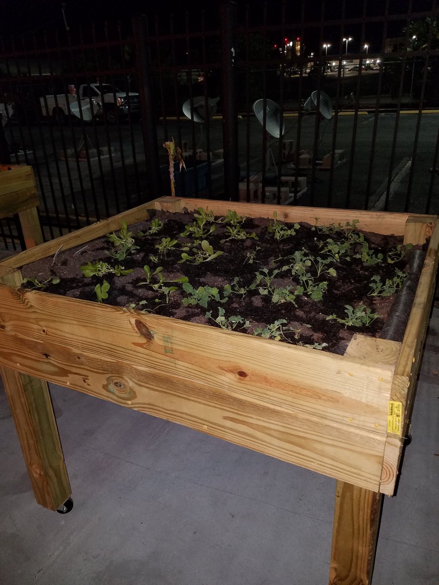 Crystal Upton tweet media