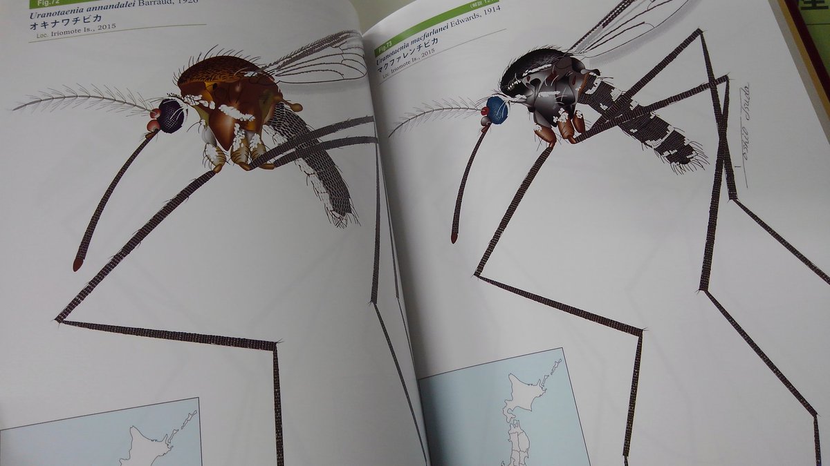 この日本産蚊全種検索図鑑ヤバすぎる。。え、これヤバいですよ。この