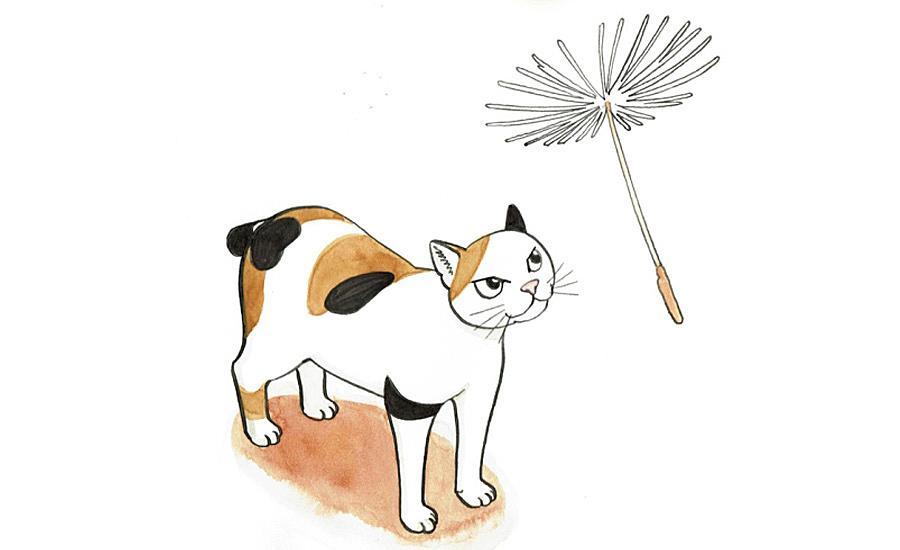 Pinga [ピンガ] tweet media