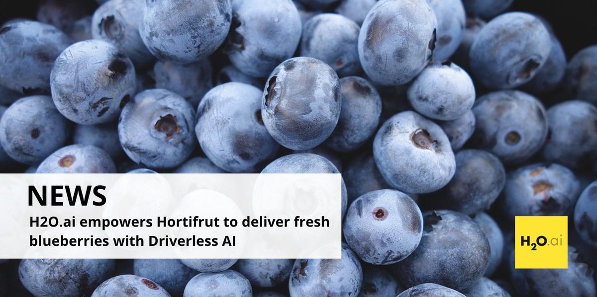 Fresh #blueberries and #AI have more in common than you imagine! Learn how we empower the world’s largest producer of blueberries, <a href="/hortifrut/">Gony Hortifrut</a>, to optimize its distribution with H2O #DriverlessAI: bit.ly/2JQ4CsK #AI #machinelearning