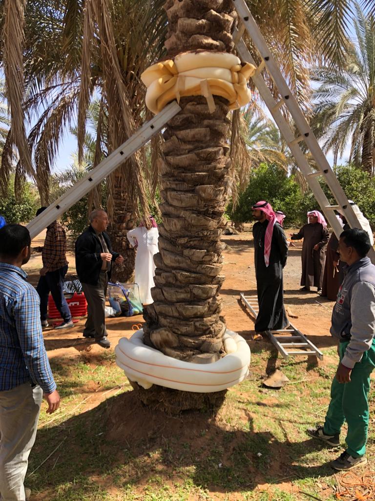 اقام فرع وزارة البيئة والمياه والزراعة بمنطقة حائل دورة تطبيقية حول الاستخدام الامن لمركب فوسفيد الالمنيوم.