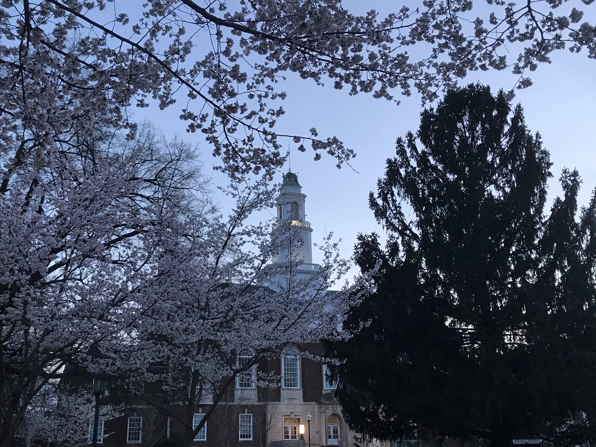 WeekendersEKU's tweet photo. Hammocking at the end of a beautiful day with a beautiful view #campusbeautiful https://t.co/BtDz2e9lka