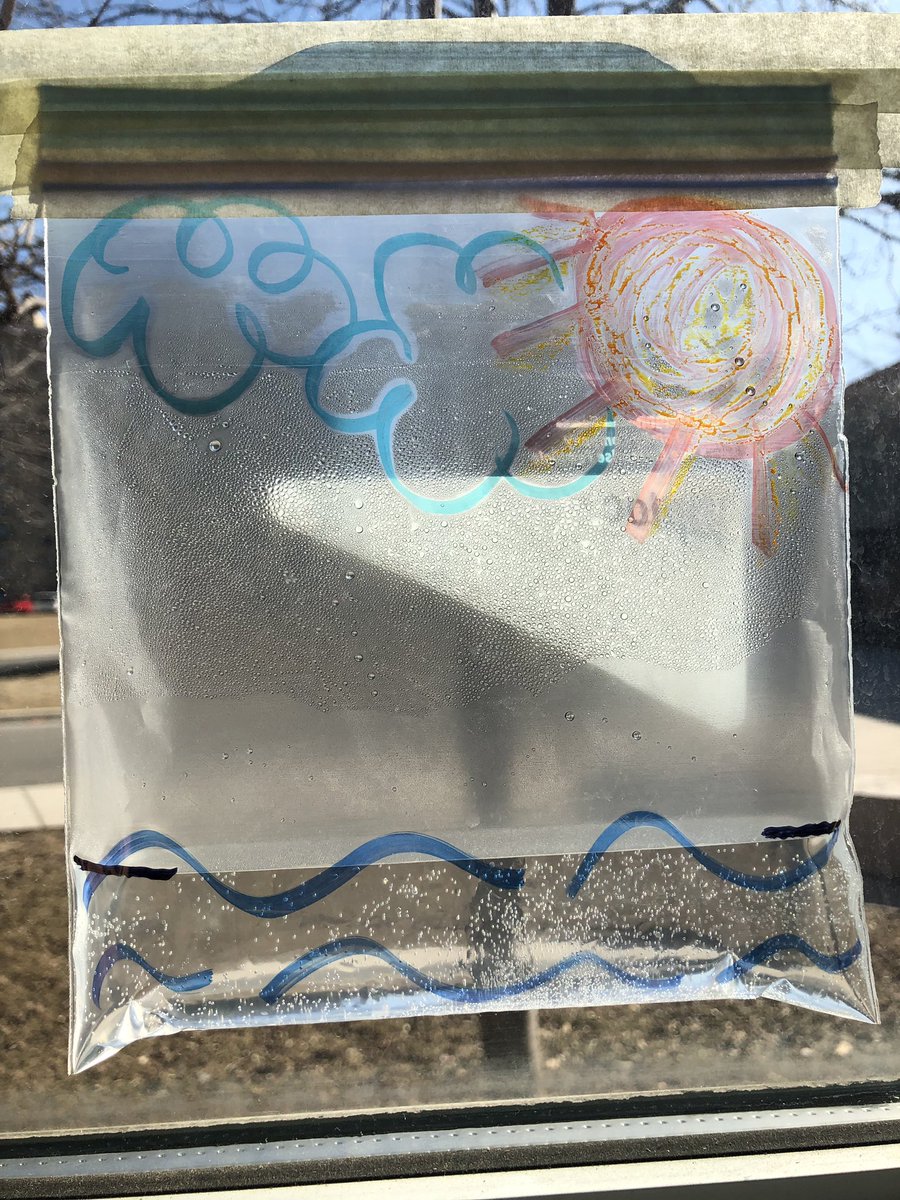 Ms. Mazzulla tweet media