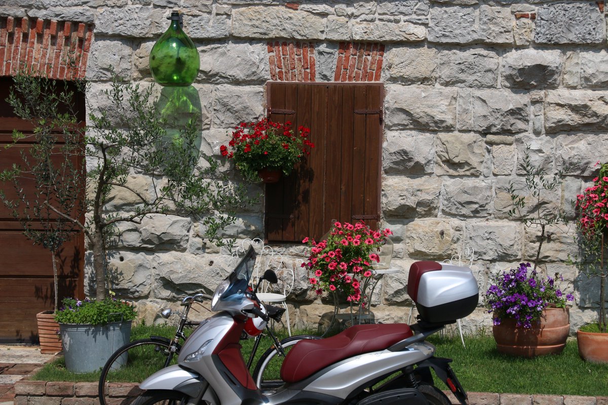 Celeste Mitchell tweet media