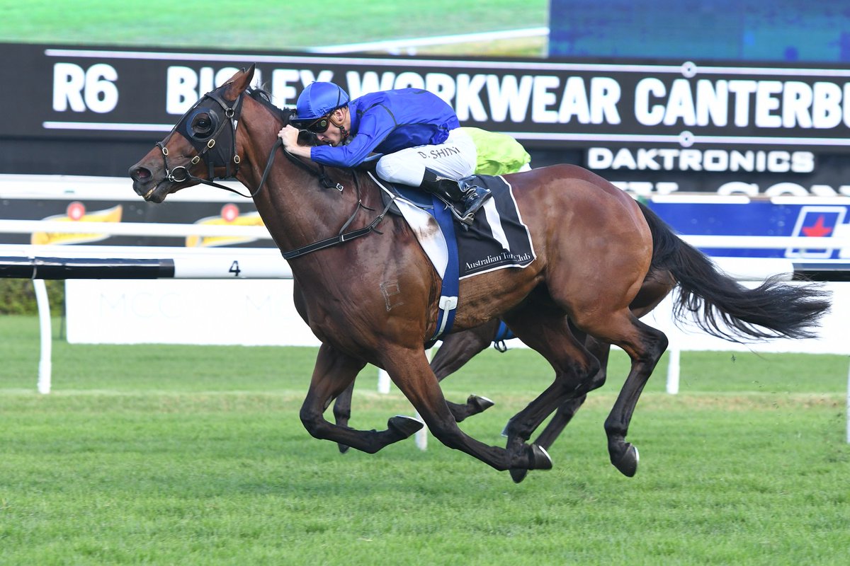 The Championships tweet media