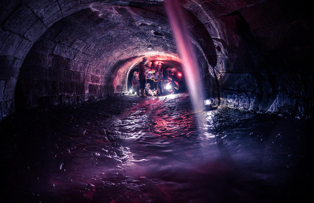 SydneyWaterNews's tweet photo. Want a chance to explore the Tank Stream? Register for the @sydlivmus May ballot for your chance to attend this highly coveted tour. https://t.co/LPfLMPnLOg
#secretsydney #ballot #tankstream #tankstreamtours #sydneylivingmuseums https://t.co/IxNahF6bM3