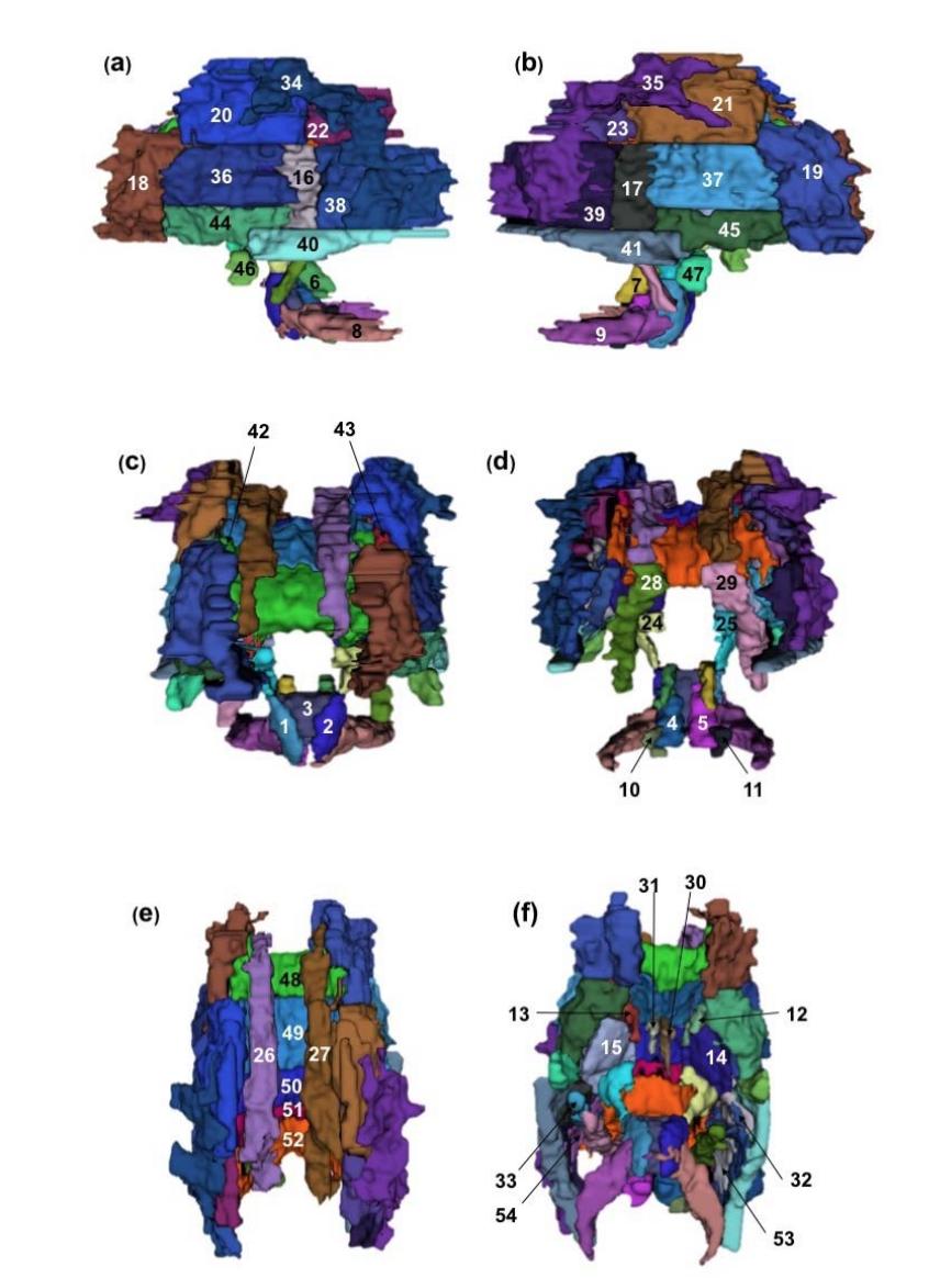 @parkvillegeek tweet media