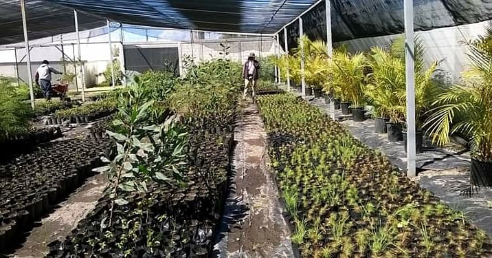 SPA_GobBC's tweet photo. DESTACA BAJA CALIFORNIA EN DONACIÓN Y PLANTADO DE MÁS DE 199 MIL ÁRBOLES
https://t.co/J7a2mn45lx @SPA_GobBC @GobiernoBC #AccionesAmbientales🌎 #ProteccionAlAmbiente💚 #BC🌷#Mexicali #Tijuana #ENSENADA #ImpulsoBC👍 https://t.co/NfskDnRMvV