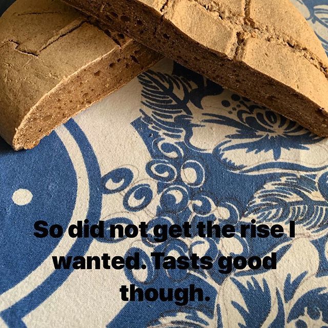 AdMasterCaplan's tweet photo. So I did not get the rise I wanted. , but the taste is an improvement. .
.
.
.
๐ฏ#wholewheat #sourdoughbread #breadmaking #breadfromscratch #wholewheatbread #sourdough @thejoyofcooking @paul.hollywood #homecooking #bread #wholewheat https://t.co/x8WIQrTwqd