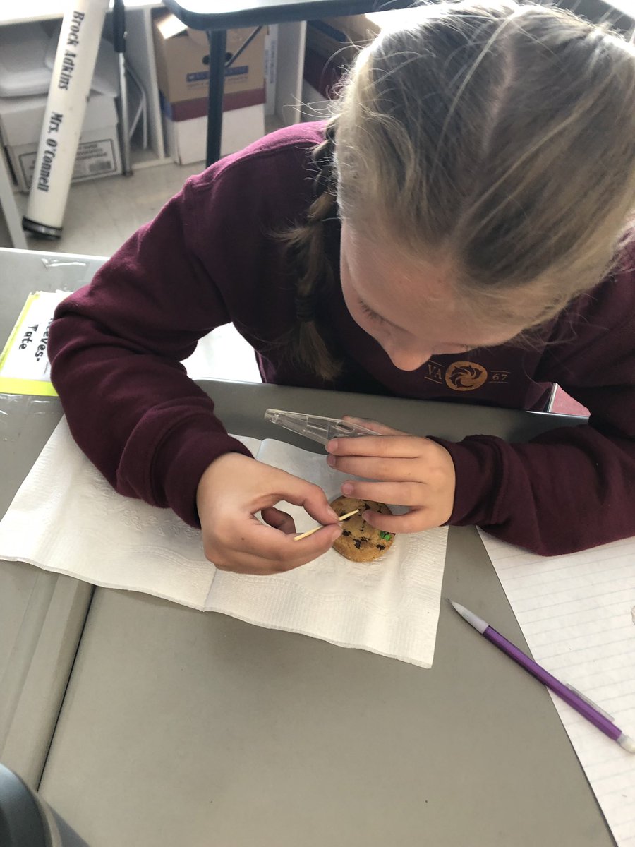 Jennifer O'Connell tweet media