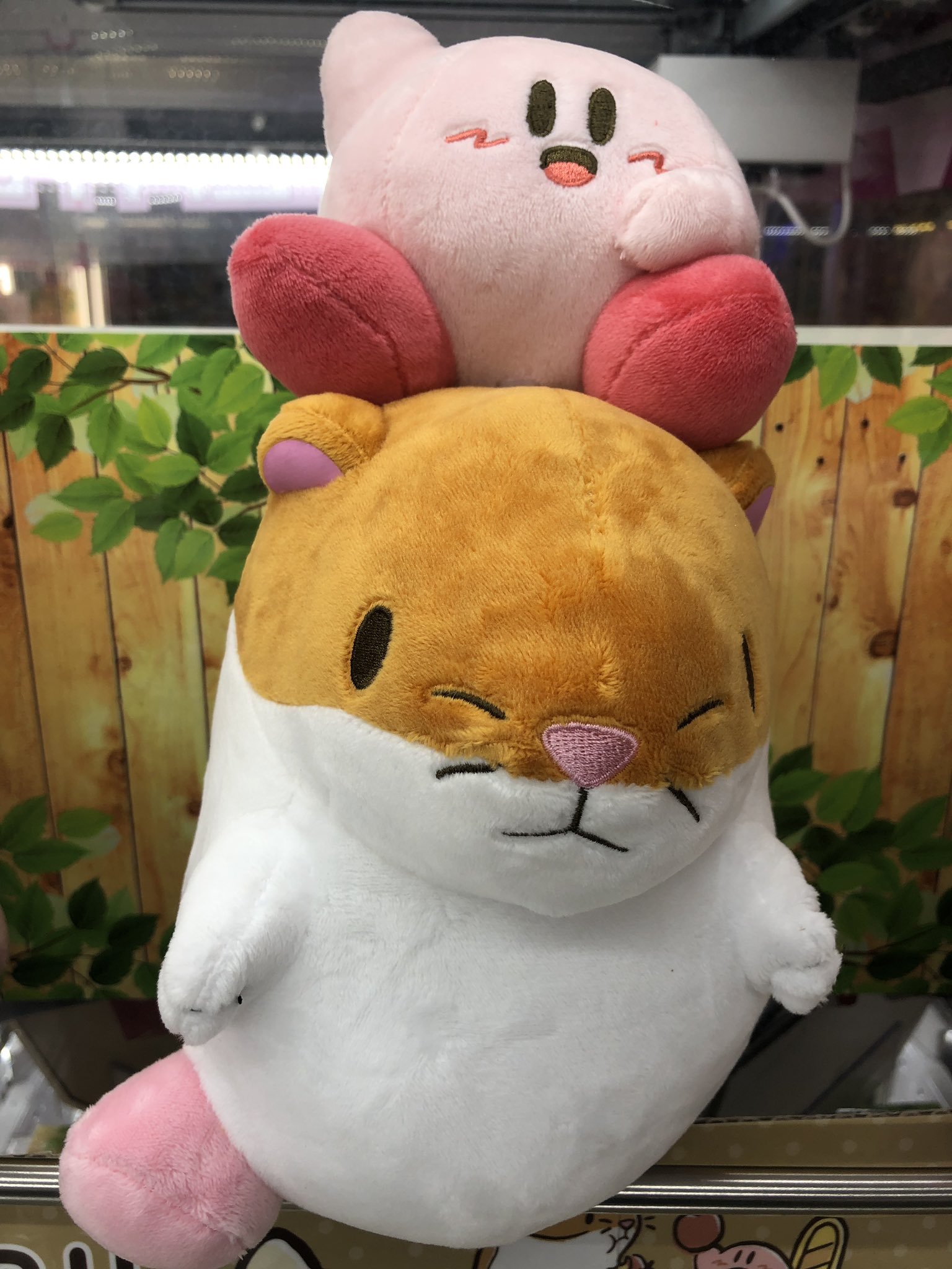 マンガ倉庫日向店アミューズ on X: 