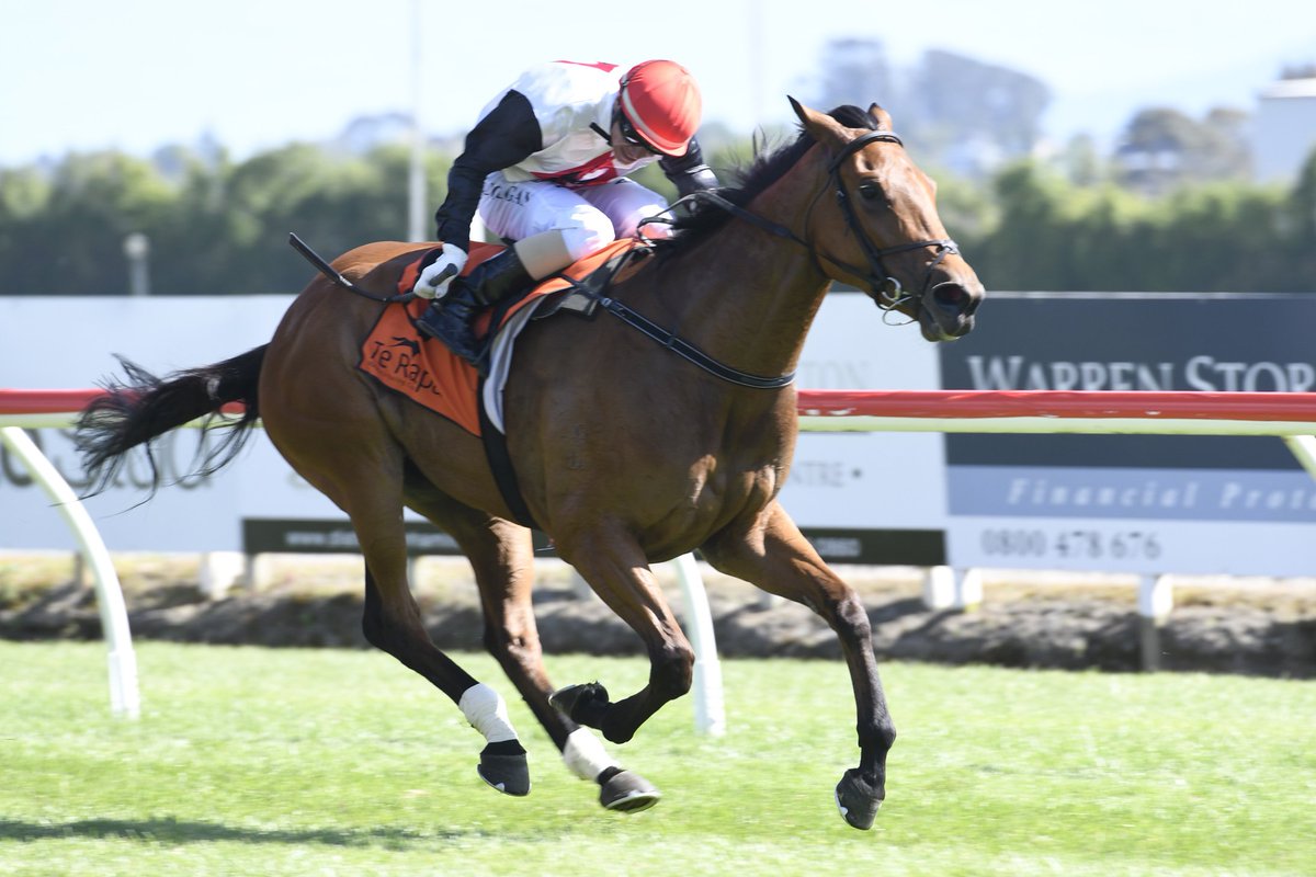Haunui Farm (@haunuifarm) on Twitter photo Excited to have RONDINELLA (NZ) in the G1 Tancred Stakes <a href="/rosehillgardens/">Rosehill Gardens</a> tomorrow! #haunuifoundationfamily 25SW in Aus so far. <a href="/ChittyMark/">Mark Chitty</a> @rogerja61957204 <a href="/WaikatoStud/">Waikato Stud</a> Excited to have RONDINELLA (NZ) in the G1 Tancred Stakes <a href="/rosehillgardens/">Rosehill Gardens</a> tomorrow! #haunuifoundationfamily 25SW in Aus so far. <a href="/ChittyMark/">Mark Chitty</a> @rogerja61957204 <a href="/WaikatoStud/">Waikato Stud</a>