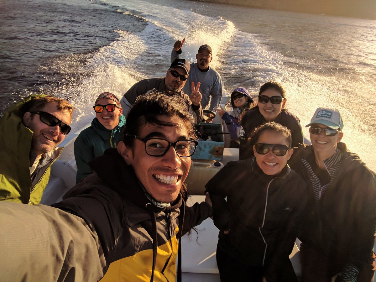 New blog on our website highlighting our collaboration with our colleagues from Mexico on a project studying the impacts of sonar on Cuvier's beaked whales. marecotel.org #whales