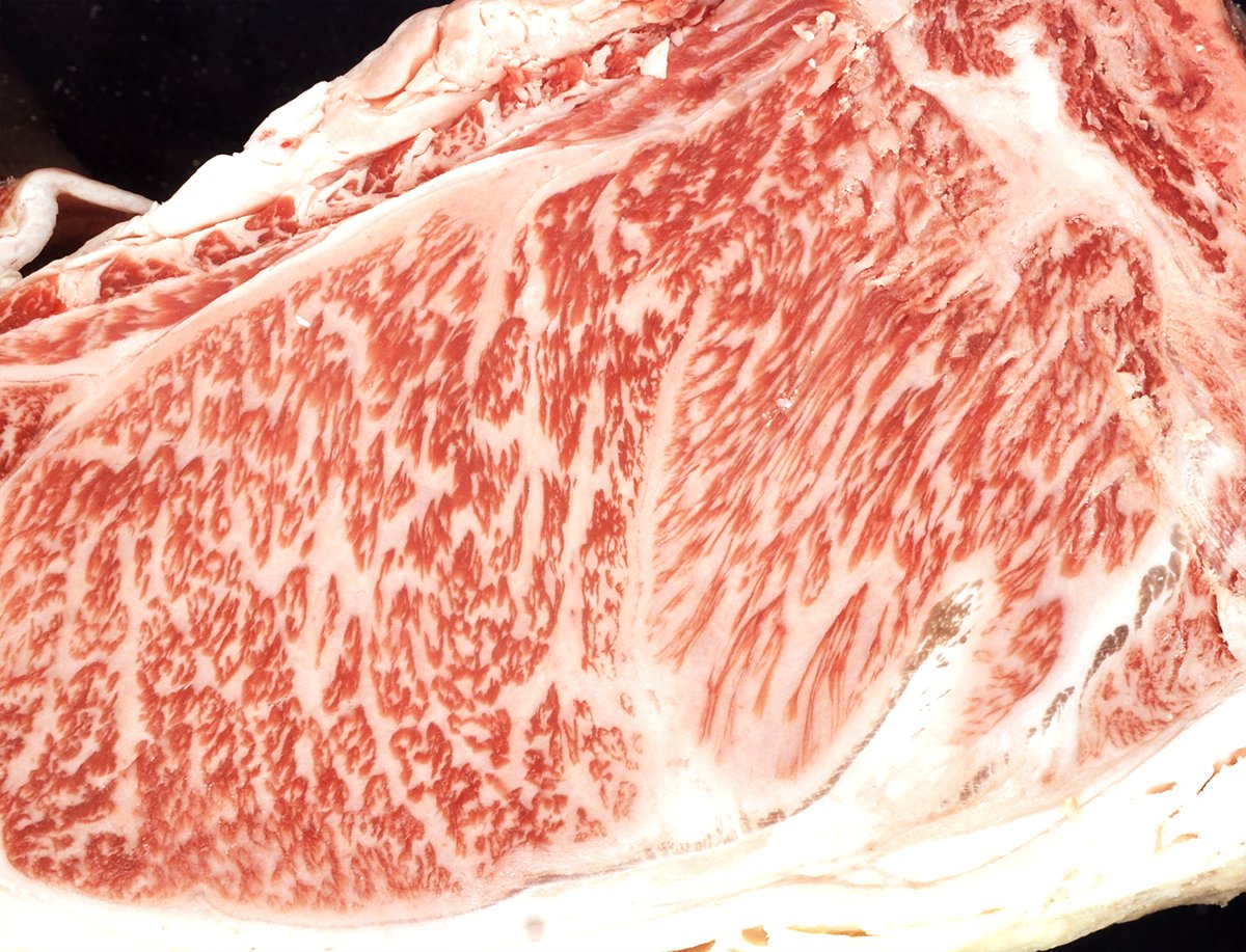 MarbleGenetics's tweet image. Exquisite marbling - fine ribbons of monounsaturated fat (the good ones) intertwine the muscles (the higher the amount of marbling, the higher the grade of meat). Wagyu females are lighter muscled and their marbling is much finer and more evenly dispersed throughout the muscle.