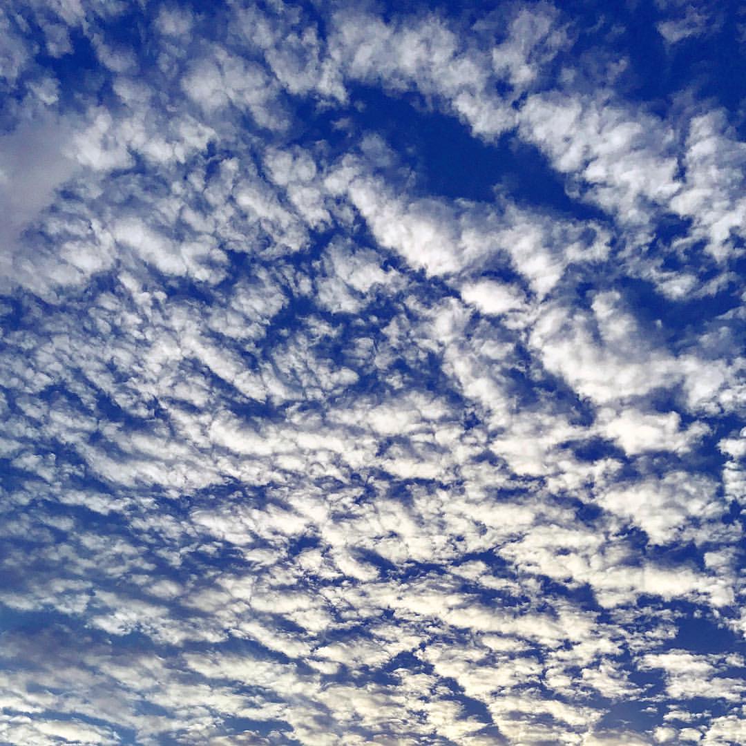 WeatherPlatform's tweet image. Thunderstorms are possible in every #Australian state and territory today. Though, severe storms are more likely in the east, typically in northern #Victoria, #NSW and far north #Queensland. Much the same tomorrow but with #Sydney and #Brisbane in the mix. Instagram.com/WeatherPlatform