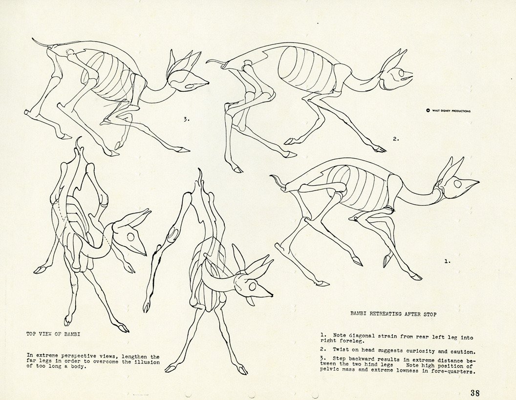 Rico Lebrun's deer movement studies for Disney's Bambi 
