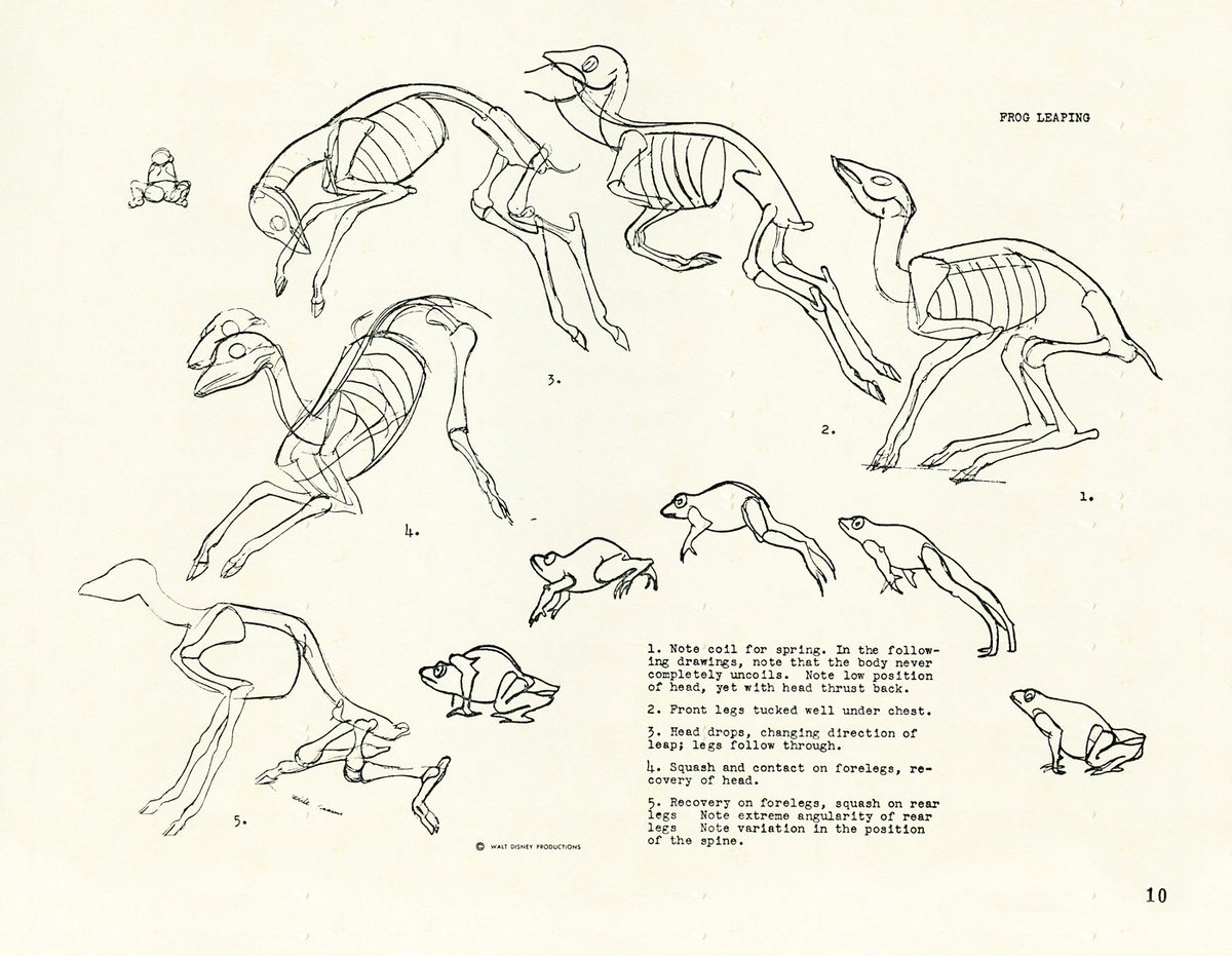 Rico Lebrun's deer movement studies for Disney's Bambi 