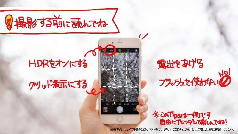 キリンビール Kirin Beer お花見におすすめ スマホできれいに桜を撮影するtipsをまとめました 試したら きょうのキリン で写真を投稿してね