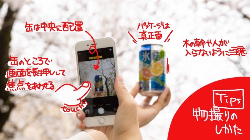 キリンビール Kirin Beer お花見におすすめ スマホできれいに桜を撮影するtipsをまとめました 試したら きょうのキリン で写真を投稿してね