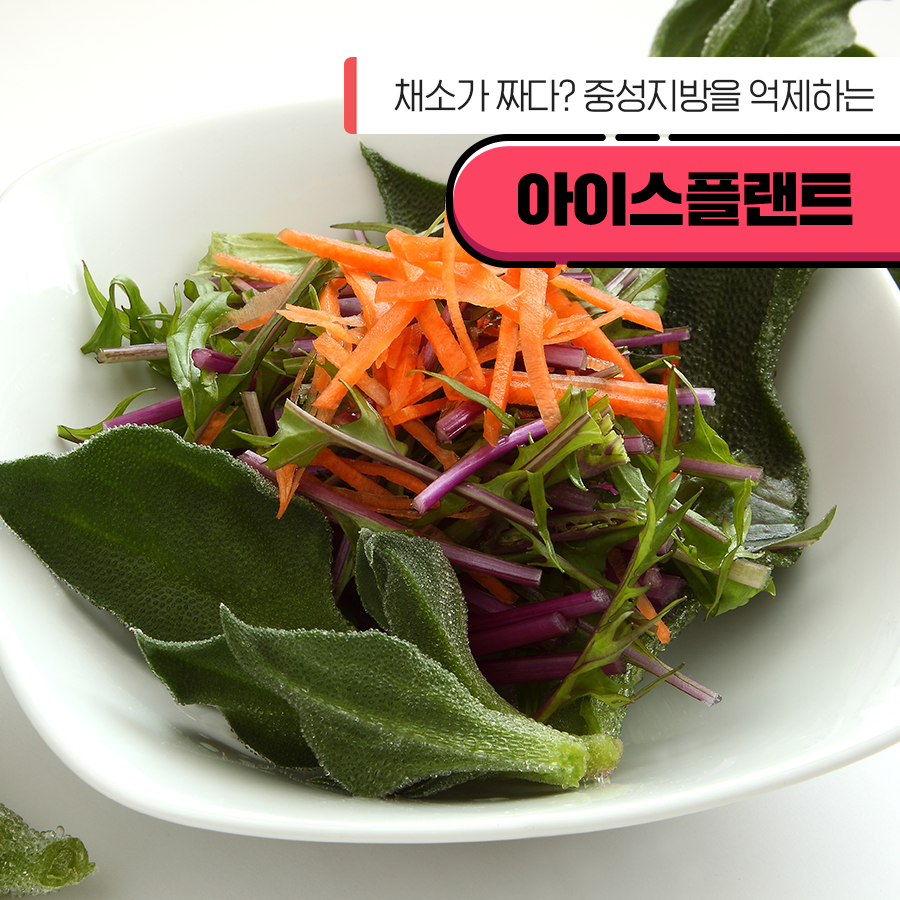 과학기술정보통신부 tweet media