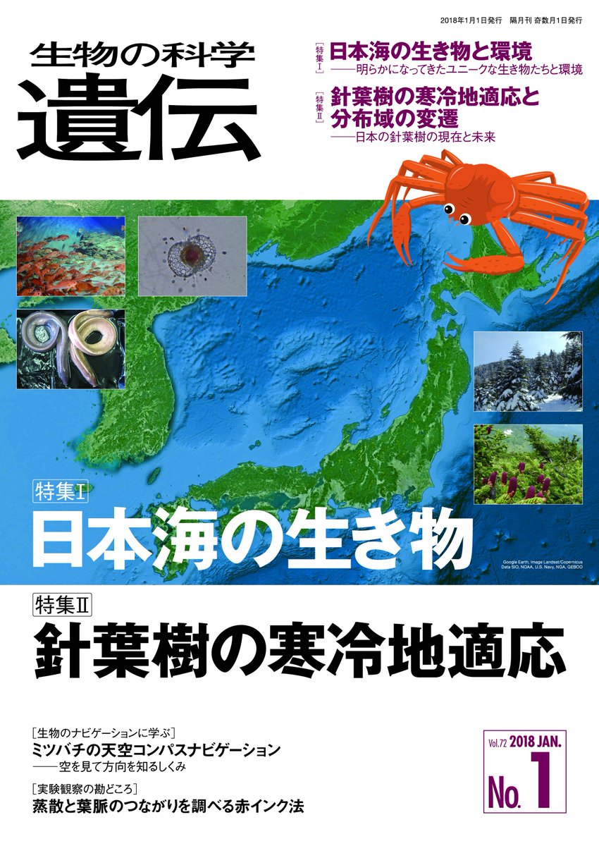 エヌ ティー エス アレルギーの日 生物の科学 遺伝 16年7月号 特集 3 スギ花粉症緩和米の効果 米の特性を生かして開発し臨床効果を確認 T Co Gd4nxbrugr 同書 特集 2 遺伝子組換えによる機能性米の開発 スギ花粉症などへの