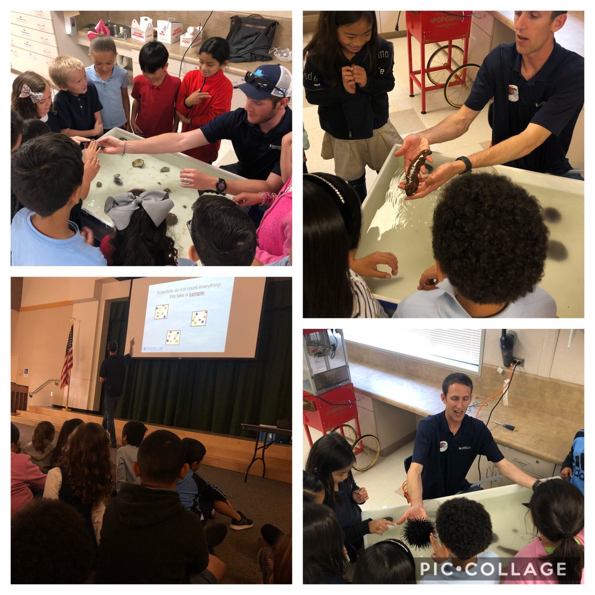 PBL came to life today as the awesome volunteers from the Marine Lab at Concordia came to share their knowledge of habitat diversity! Our innovation lab was a great place to host those neat creatures! <a href="/Heritage_TUSD/">Heritage Elementary</a> #TUSDthrives