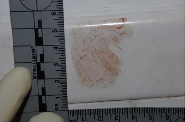 Forensic187's tweet photo. Online training course--Forensic Evidence and Classification--at ForensicTrainingUnlimited. Excellent course for forensic students. https://t.co/Oa7GTkhJFN #forensic #forensicscienceacademy #forensictraining #evidence #VollmerInstitute #CSI https://t.co/IyWuqkn8F1