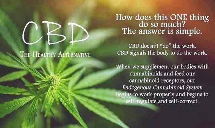 love2helpothers's tweet image. By now most of you have heard about CBD oil 🙂 

Just going to leave this right here 🙂 
Want to try a sample? MESSAGE ME!
#missylynch #cbd#cbdoil