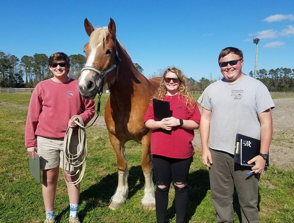 AllisonCTE's tweet photo. East Carteret High School's FFA Horse Judging Team visited Trade-Win IV Farm today. @NCFFA members and their coaches prepare for mid-April competitions. #CTETheHotTopic #nccteSE #ncffa @SteeleKatherine @CTEforNC https://t.co/GvfEoMWbHA