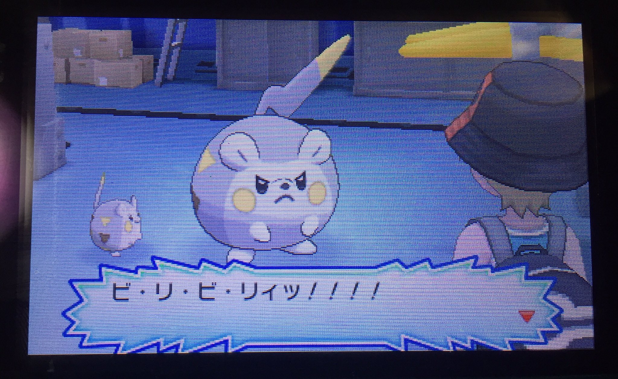 クタチュウ くたくん でっかいトゲデマルを倒してマーマネさんの試練達成っス アンシーちゃんがババっとやってくれたっスよ オイラは出番が無かったので歌ってたっス そういえばついにあの子が進化するらしいっス ふわふわ楽しみっスね