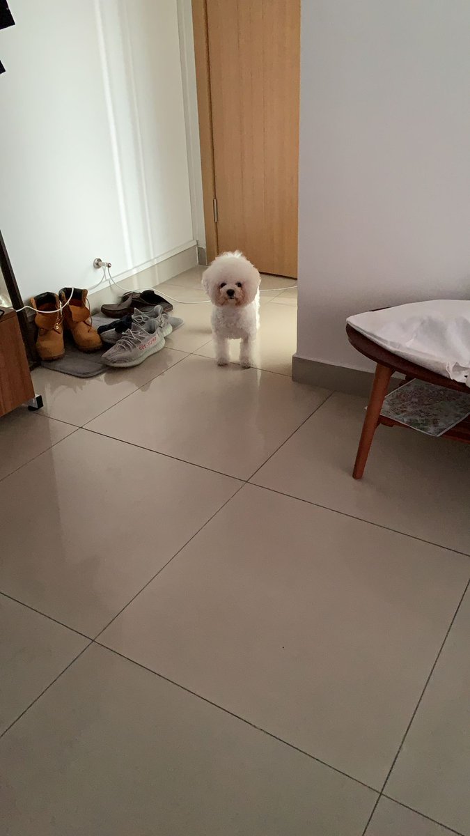 Daddy you are going to work again 😢

Honey I gotta make money for your food, be good at home and don't chew on the shoelaces.😫