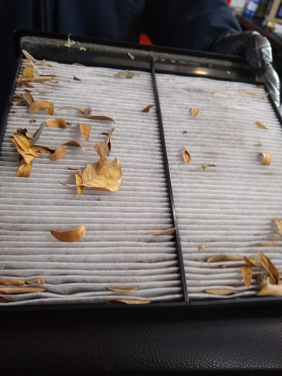DDDiscount's tweet photo. When was the last time you changed your #cabinfilter check out the #blog https://t.co/JC7GGdDZUe #cleanair #airquality #defensivedriving https://t.co/r2KJyq5BHv