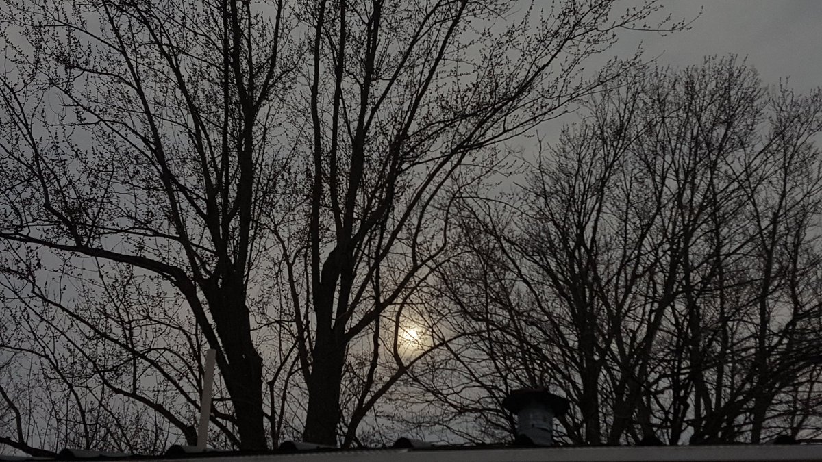 dawn_morning's tweet photo. 3-28-2019 #Indianapolis #Indiana 

#Sunset
#FilteredSun 100%
#WeatherModification 4
#Tomorrow #Weather #ChemRain

#WednesdayWisdom 
#LookUp #WakeUp
#WeDoNotConsent https://t.co/ePlP7z3ihF