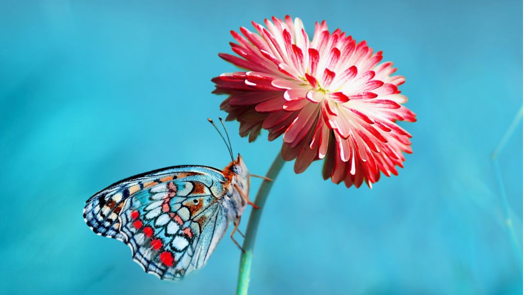 Gotham Signs tweet media