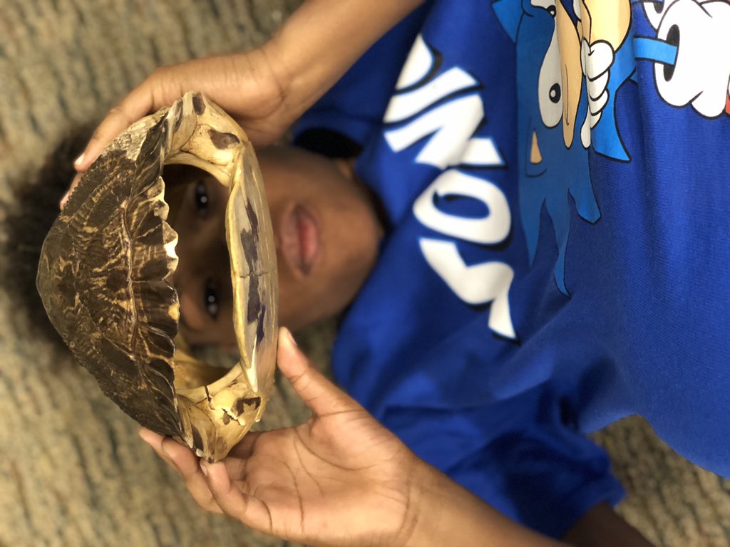 Thank you Rock Eagle for the milestones review! Herpetology is always a fave, just look at these faces! @sims_ivyleague #SimsTakesRockEagle