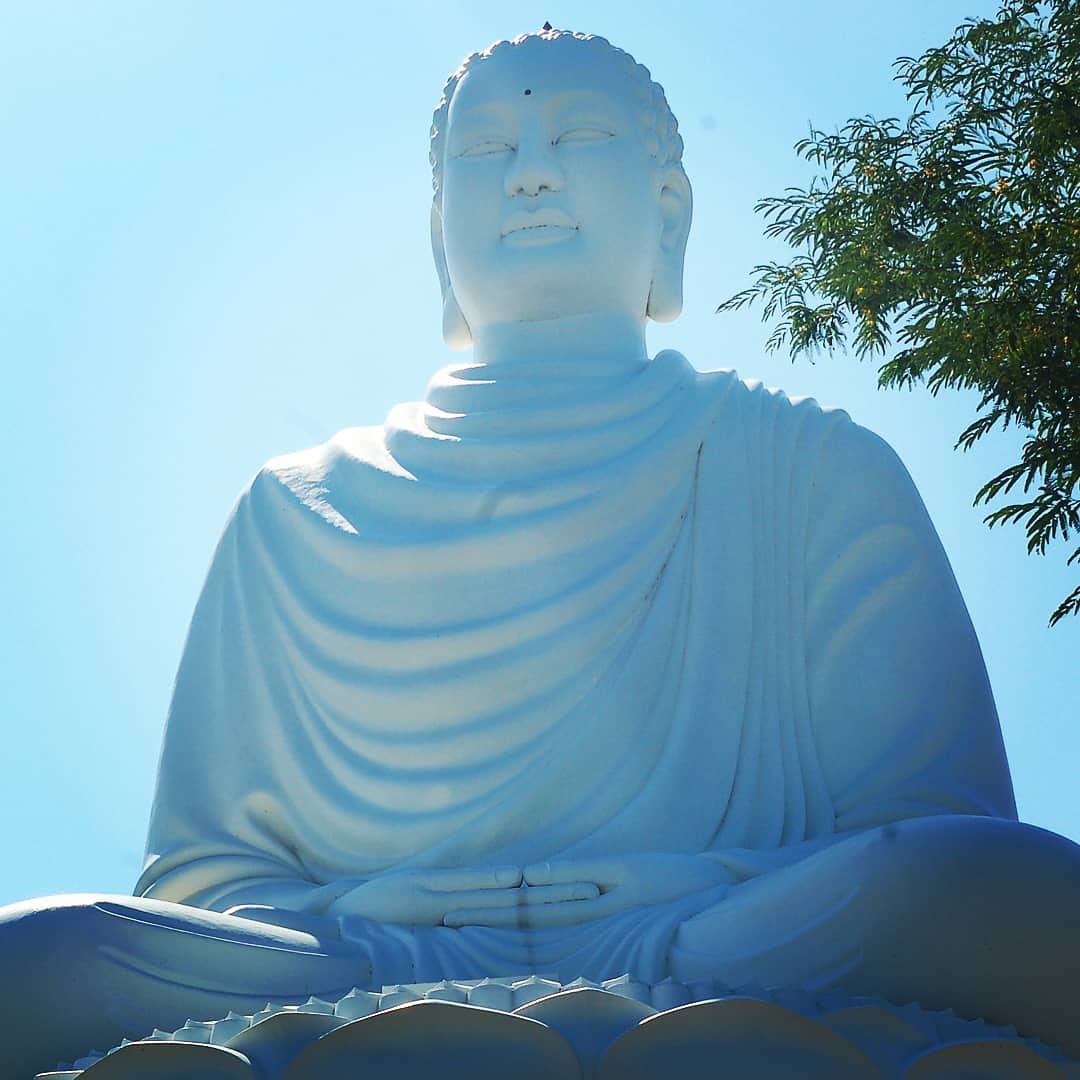 VAleksTV's tweet image. The Long Son Pagoda and the seated Buddha is one of the most beautiful places in Nha Trang.

#longsonpagoda #longson #longsơnpagoda #longsonpagoda🙏 #лонгшон #лонгшонпагода #лонгсон #лонгсонпагода #пагодалонгшон #пагодалонгшон🐉 #пагодалонгсон #pagodalongson #bigbuddanhatrang