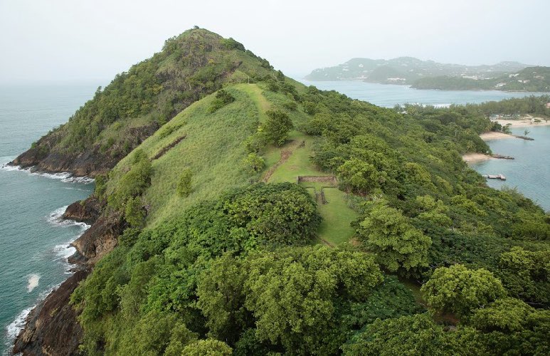 Carib4Everyone's tweet photo. The grass is greener in the Caribbean. #CaribbeanForEveryone #TravelCaribbean #CaribbeanLife https://t.co/fqKKWgYLXi