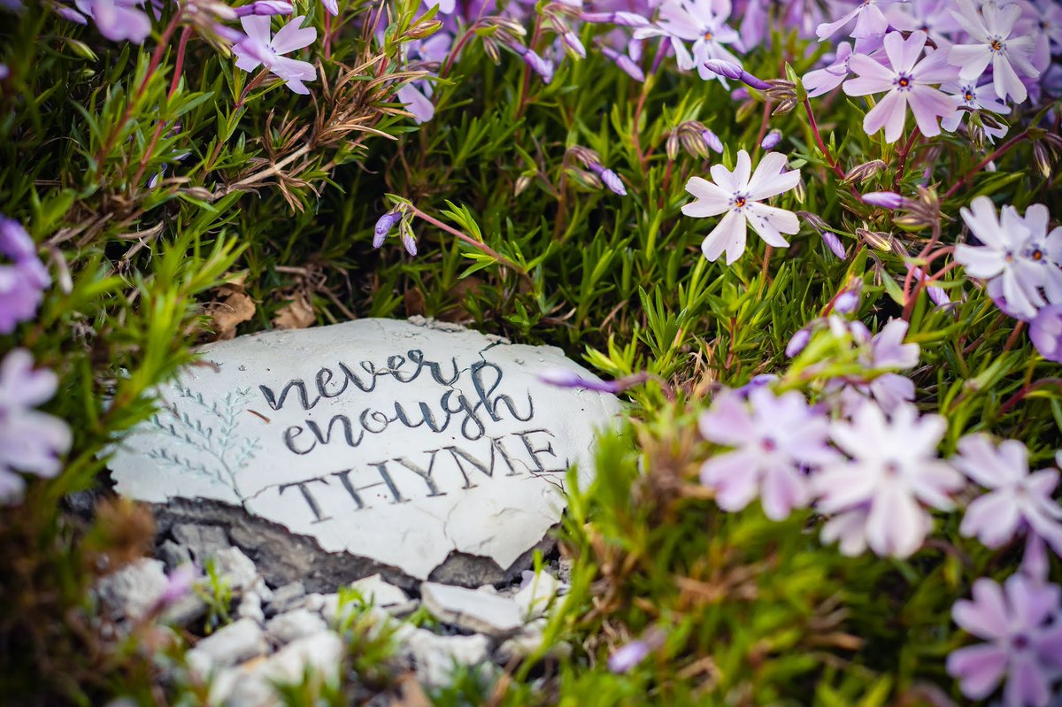 ARProductions20's tweet photo. "Never Enough Thyme"
Canon SL2
Yongnuo 50mm f1.4
1/30 f4 ISO 100
#macrophotography #nature #naturephotography #SpringTime #Flowers #flowergarden #nofilterneeded #canon https://t.co/rto6WQEbEN