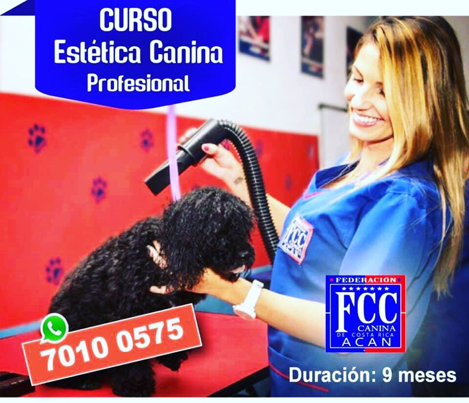 Federación Canina de Costa Rica ACAN (@acan_costarica) / Posts / X