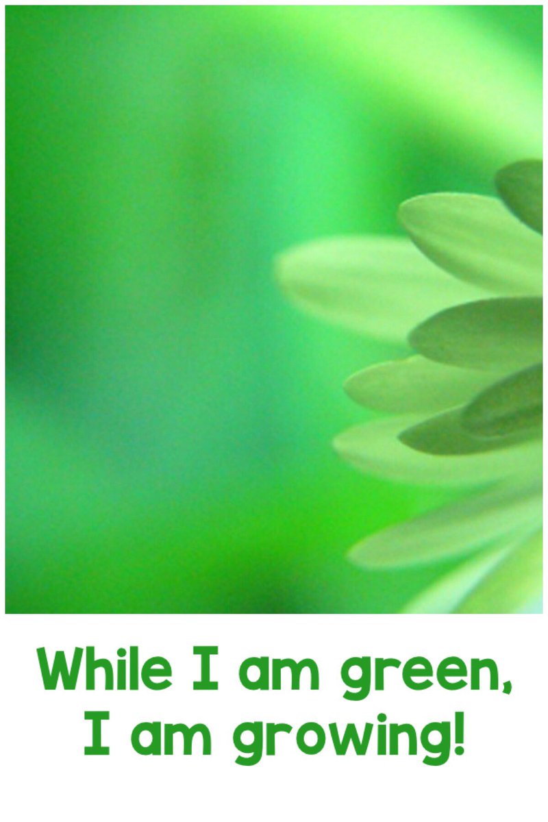 So many aha moments that reasonate with me as a leader in education. #noiinsw <a href="/Jfarmerhail/">Janice Hailey</a>