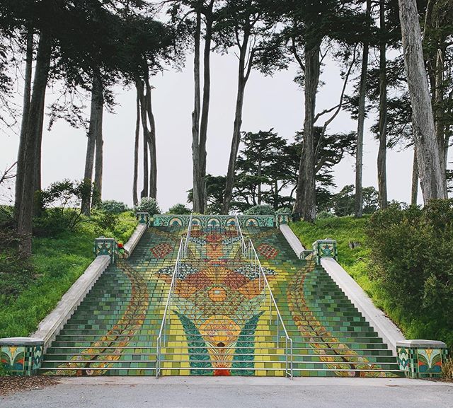 andreasmusings's tweet image. One of my favorite things to do when visiting a new city is walk around. If I’m lucky I’ll stumble across something unexpected like these painted steps.
•
What is your favorite thing to do when visiting a new city?
.
.
.
.
#sanfrancisco #goldengatepa… ift.tt/2TIwsXs