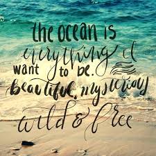 Whitesands Vacation Homes tweet media