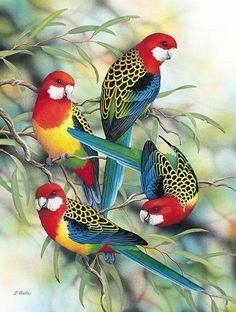 ryan_enviro001's tweet photo. Beautiful Birds painting by Lyn Cooke 
#AustraliaArtPublishing 
#ArtForSale 
#art

#Pinterest https://t.co/xtRFsQDB2x